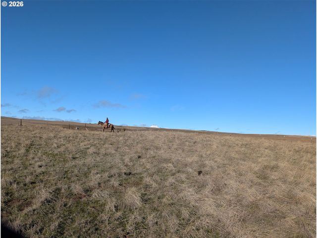 905 Randall Rd Lot 2, Centerville, WA 98613