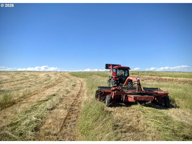 905 Randall Rd Lot 2, Centerville, WA 98613