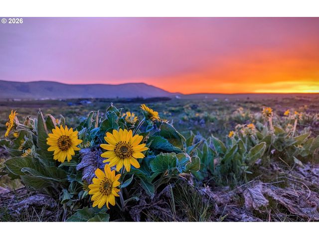 905 Randall Rd Lot 2, Centerville, WA 98613