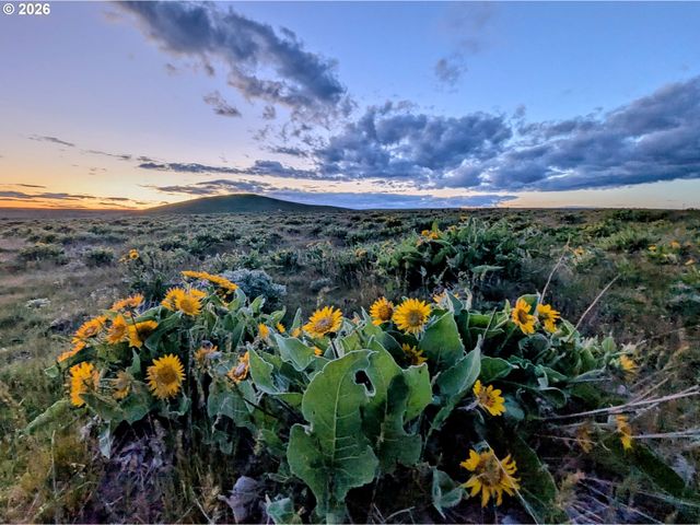 905 Randall Rd Lot 2, Centerville, WA 98613