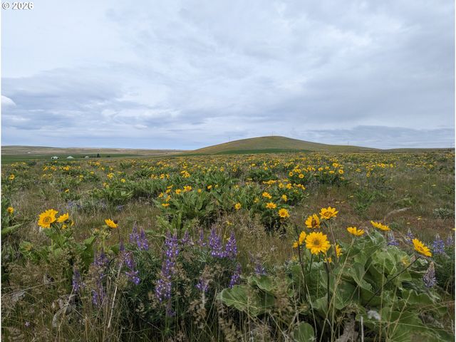 905 Randall Rd Lot 2, Centerville, WA 98613