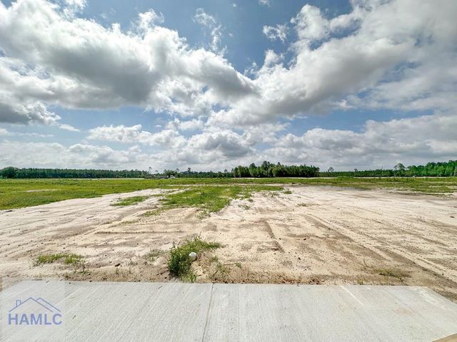 745 Doctor's Creek Road NE, Ludowici, GA 31316