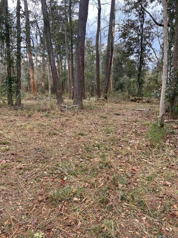 11123 Comeaux Ln, Denham Springs, LA 70726