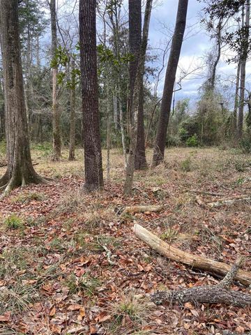 11123 Comeaux Ln, Denham Springs, LA 70726