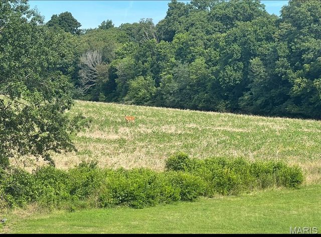 570 Sandra Way, Winfield, MO 63389