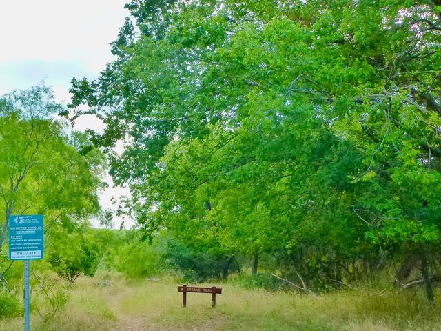 2904 Belgrave Falls LN, Austin, TX 78748