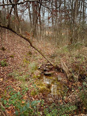 177 John Henry Road, Shirley, AR 72153