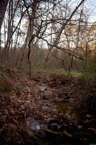 177 John Henry Road, Shirley, AR 72153