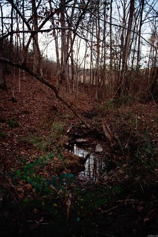 177 John Henry Road, Shirley, AR 72153