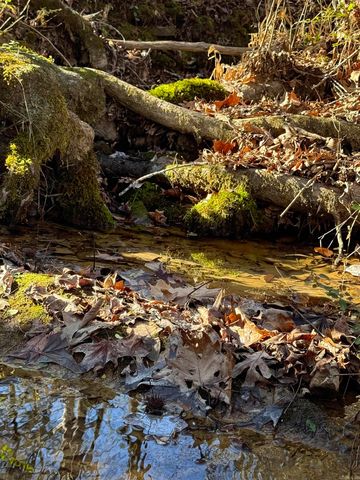 177 John Henry Road, Shirley, AR 72153