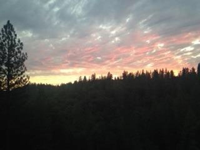 4368 Eazy Bird Way, Wilseyville, CA 95257