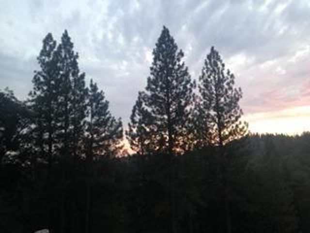 4368 Eazy Bird Way, Wilseyville, CA 95257