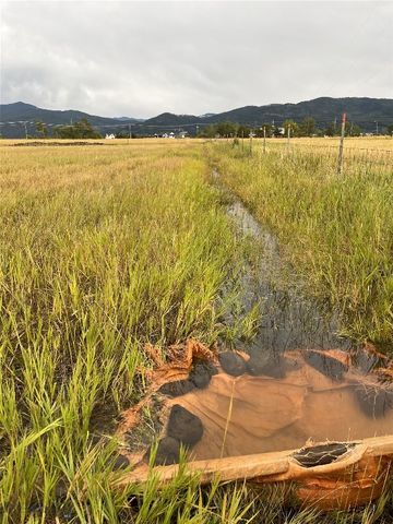 7543 Fowler Lane, Bozeman, MT 59718