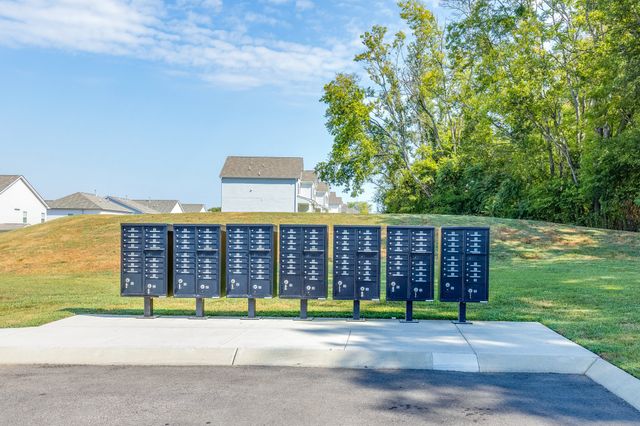 481 Buddy Dr, Columbia, TN 38401