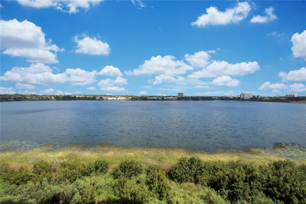 8743 THE ESPLANADE 23, Orlando, FL 32836