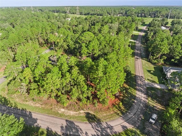 6698 N FOXDALE DRIVE, Citrus Springs, FL 34434
