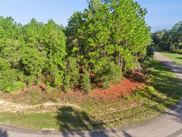 6698 N FOXDALE DRIVE, Citrus Springs, FL 34434