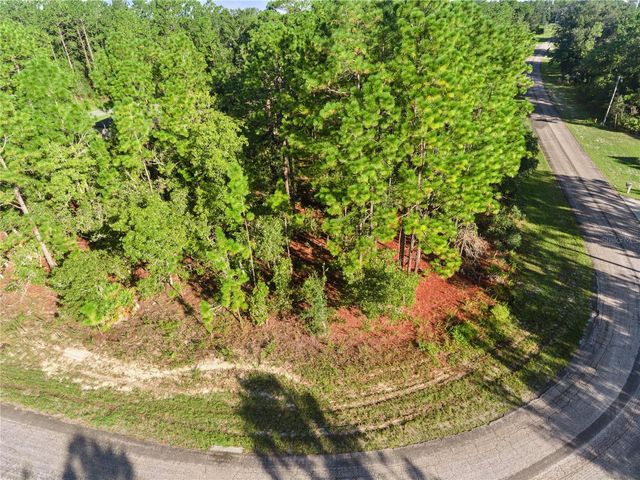 6698 N FOXDALE DRIVE, Citrus Springs, FL 34434