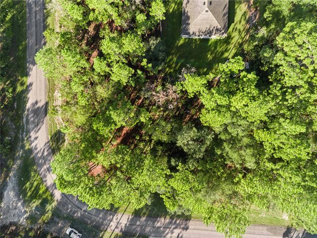 6698 N FOXDALE DRIVE, Citrus Springs, FL 34434
