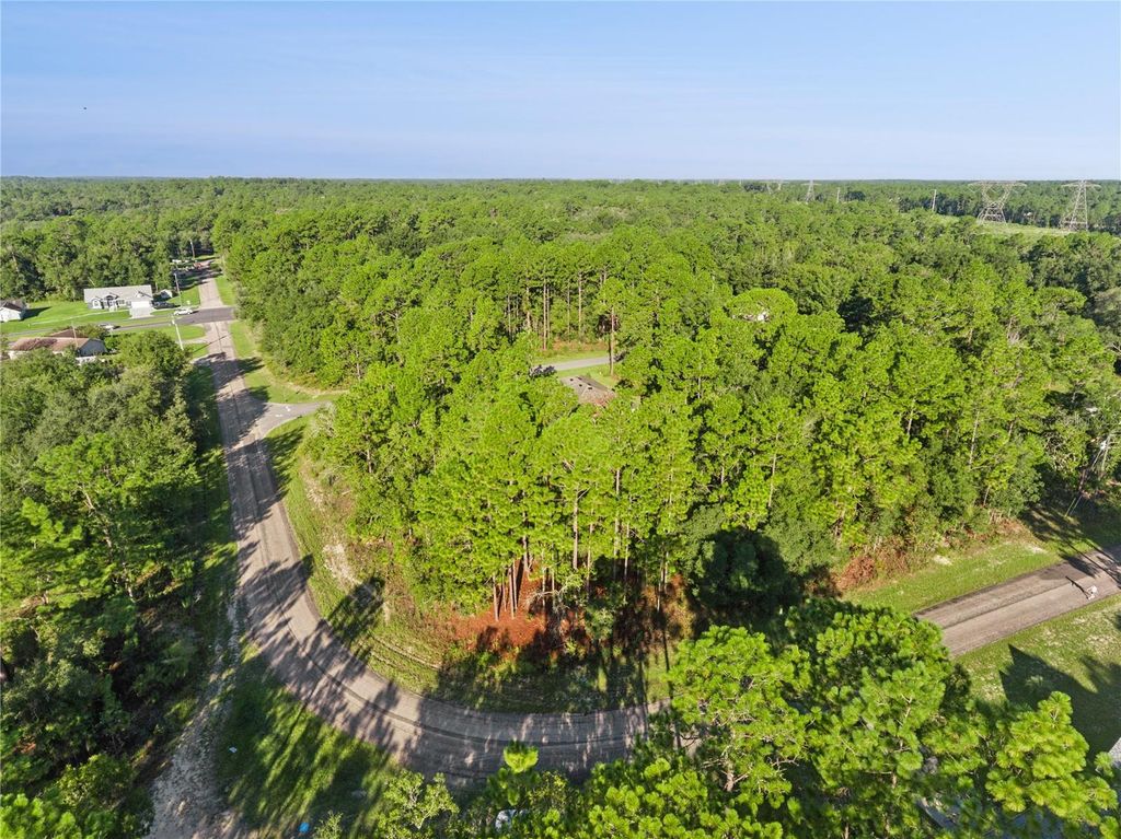 6698 N FOXDALE DRIVE, Citrus Springs, FL 34434