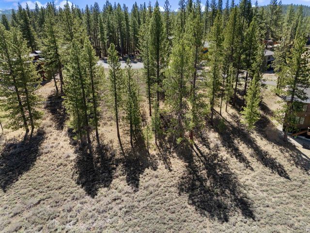 10668 Winchester Court, Truckee, CA 96161