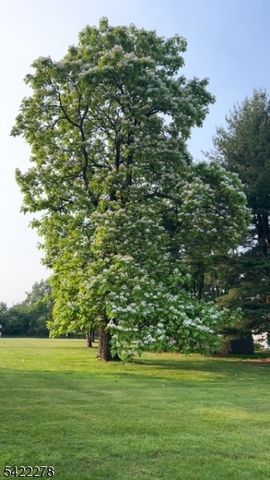 2 Mountain View Rd, Readington Twp., NJ 08889