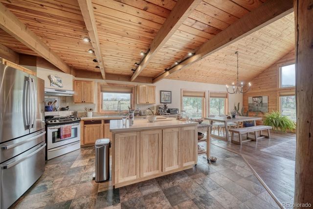 13288 County Road 261p, Nathrop, CO 81236