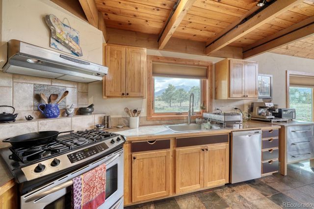 13288 County Road 261p, Nathrop, CO 81236