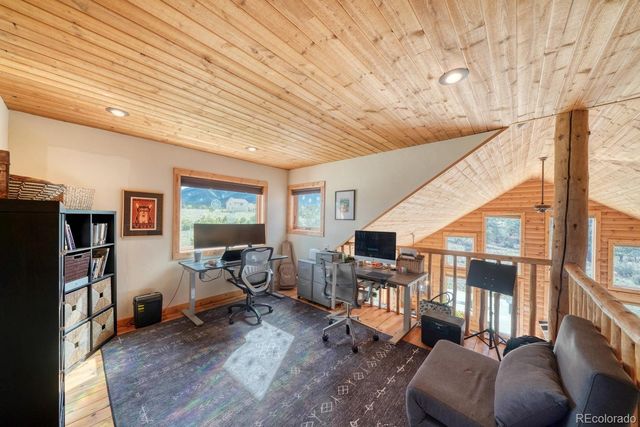 13288 County Road 261p, Nathrop, CO 81236