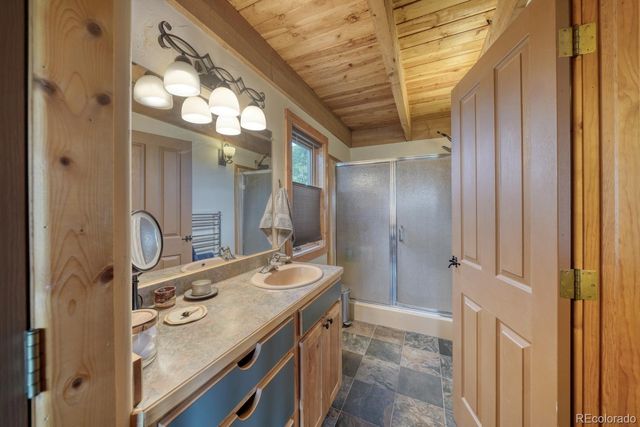 13288 County Road 261p, Nathrop, CO 81236