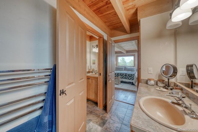 13288 County Road 261p, Nathrop, CO 81236