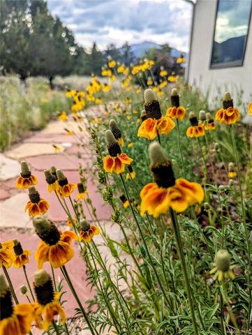 13288 County Road 261p, Nathrop, CO 81236