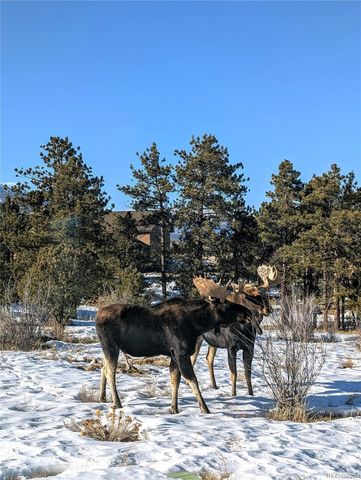 13288 County Road 261p, Nathrop, CO 81236