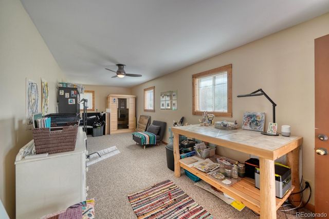 13288 County Road 261p, Nathrop, CO 81236