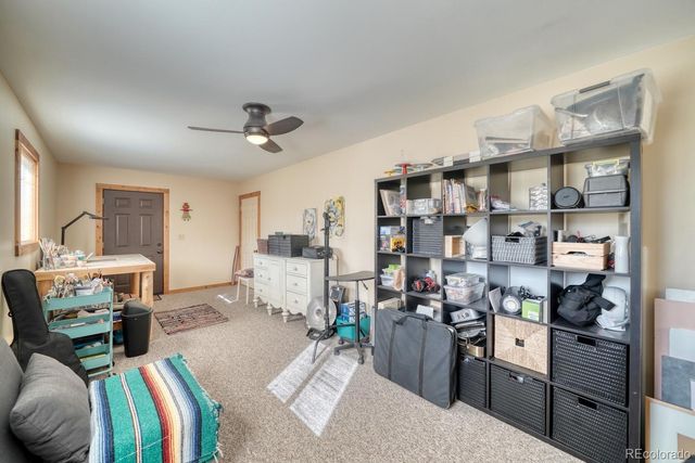13288 County Road 261p, Nathrop, CO 81236