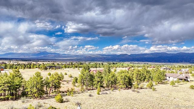 13288 County Road 261p, Nathrop, CO 81236