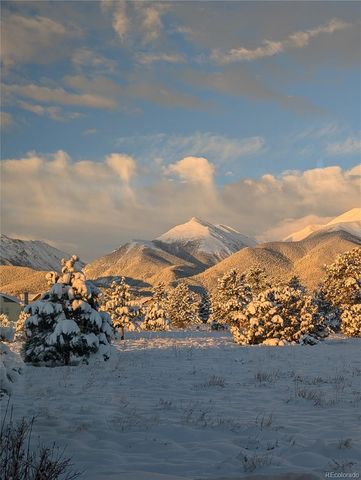 13288 County Road 261p, Nathrop, CO 81236