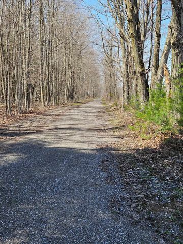 1875 E M-30 Road, Alger, MI 48610