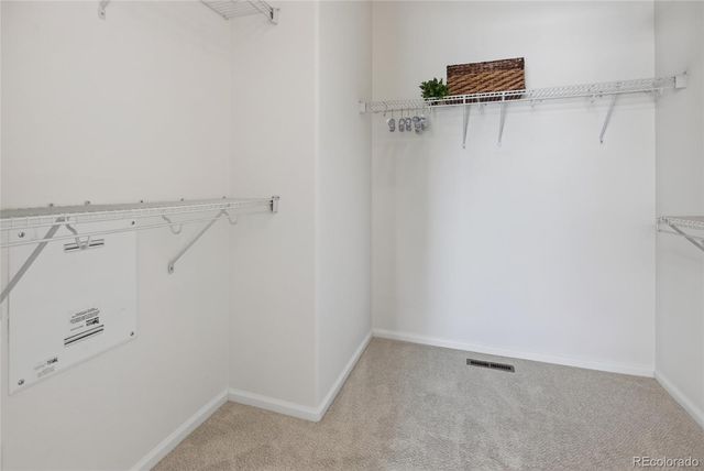 789 Bristle Pine Circle C, Highlands Ranch, CO 80129