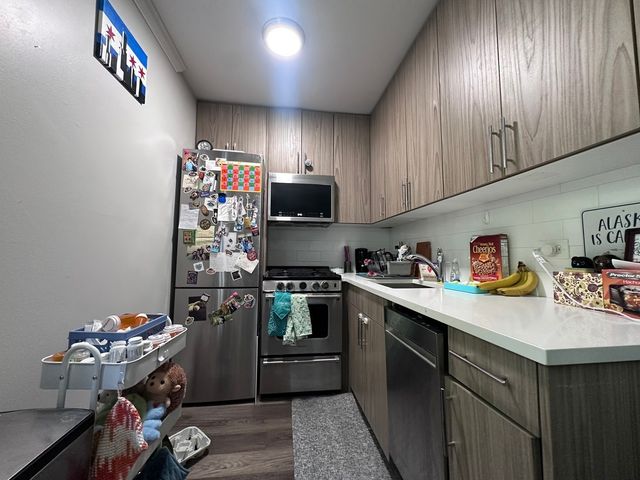 541 W OAKDALE Avenue 404, Chicago, IL 60657