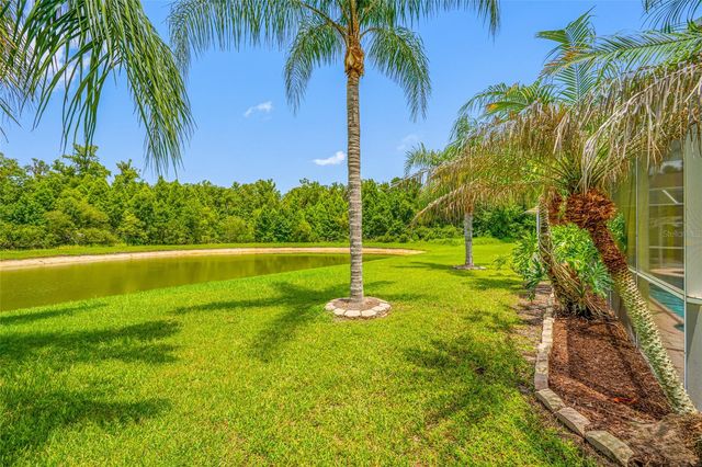 25147 GEDDY DRIVE, Land O Lakes, FL 34639