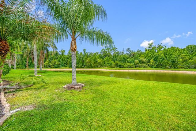 25147 GEDDY DRIVE, Land O Lakes, FL 34639