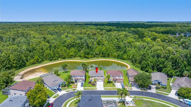 25147 GEDDY DRIVE, Land O Lakes, FL 34639