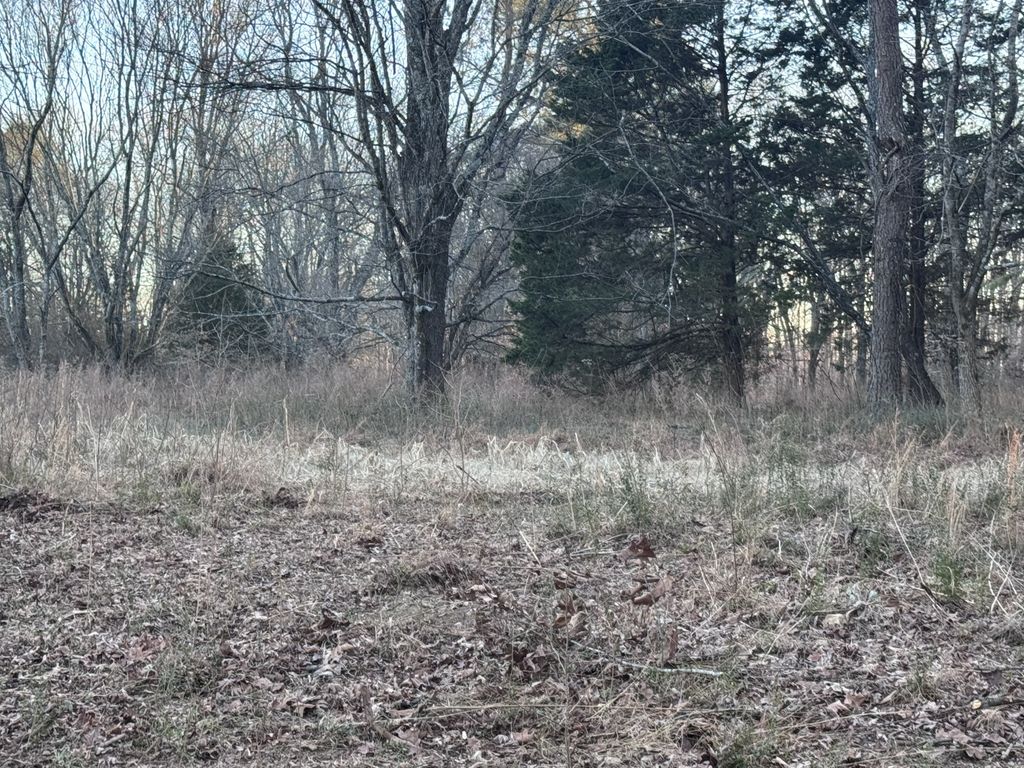 326 Kaiser Rd, Dickson, TN 37055