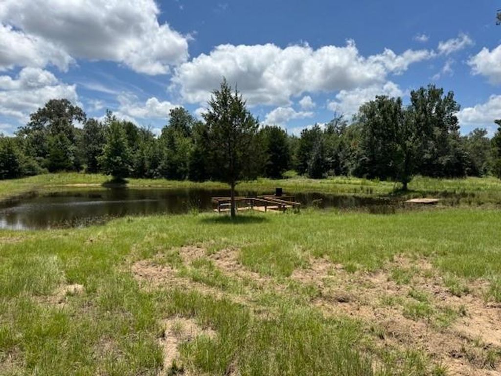 8615 Cr 293, Oakwood, TX 75855