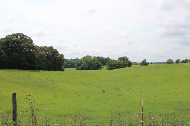 0 McGiboney Rd, Rock Island, TN 38581