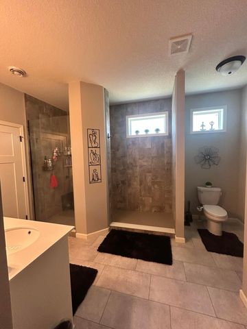 8756 151st Avenue NW, Ramsey, MN 55303
