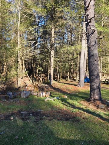 270 Baudendistel Road, Hancock, NY 13783