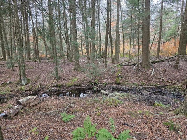 270 Baudendistel Road, Hancock, NY 13783