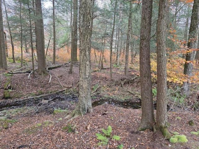 270 Baudendistel Road, Hancock, NY 13783